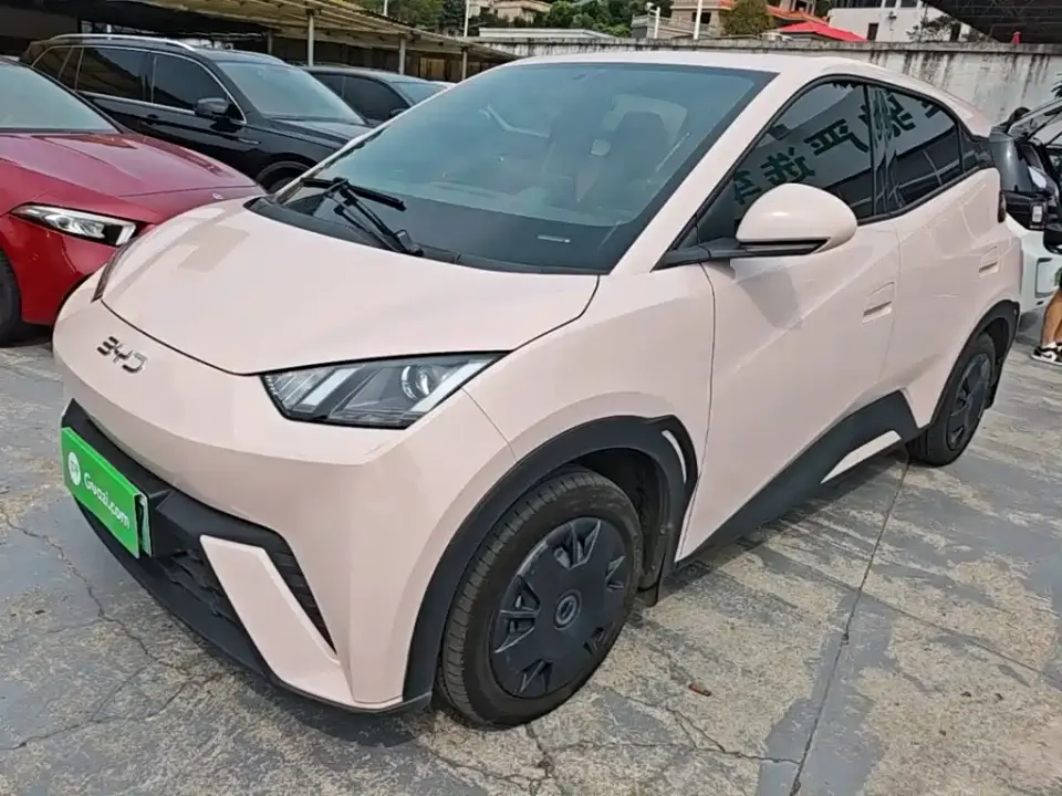 BYD Seagull Glory Edition 305km Vitality Edition 2024
