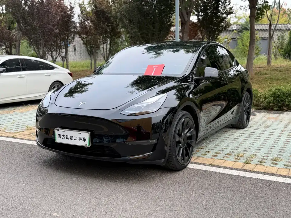 Tesla Model Y Standard Range Rear-Wheel Drive 2021