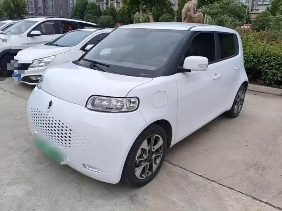 ORA White Cat 305km Luxury 2021