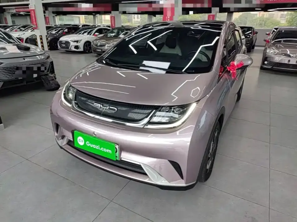 BYD Dolphin Model 405km Fashion Edition 2022