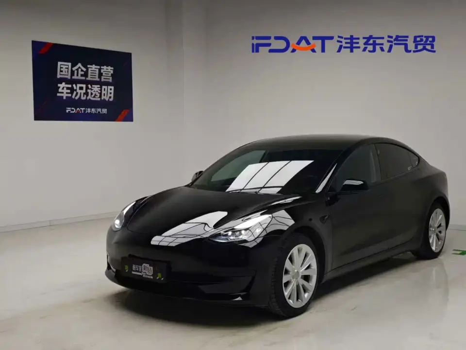 Tesla Model 3 Standard Range Rear-Wheel Drive Upgrade 3D6 2021