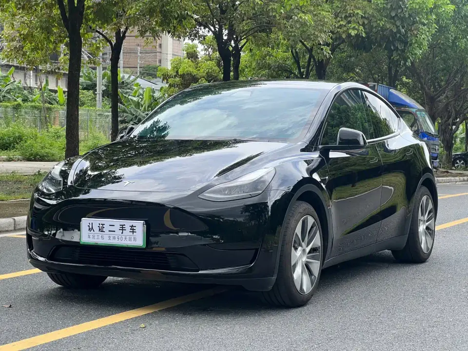 Tesla Model Y Rear-Wheel Drive Version 2022