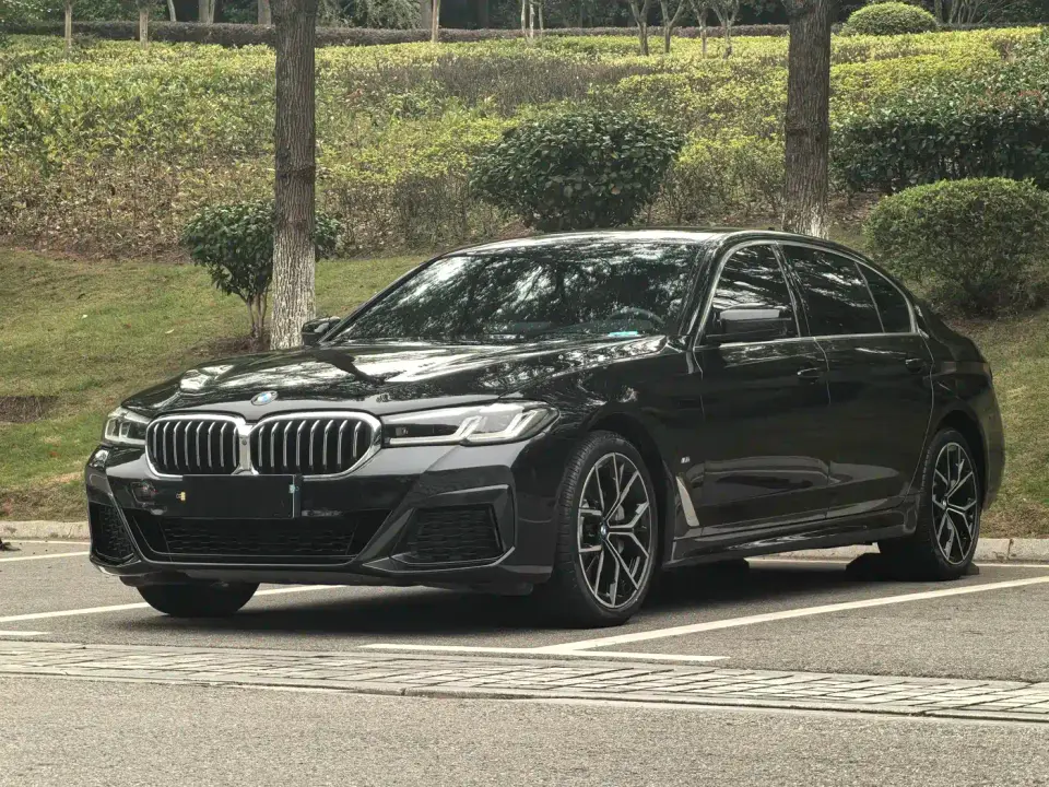 BMW 5 Series 530Li Premium M Sport Package 2021