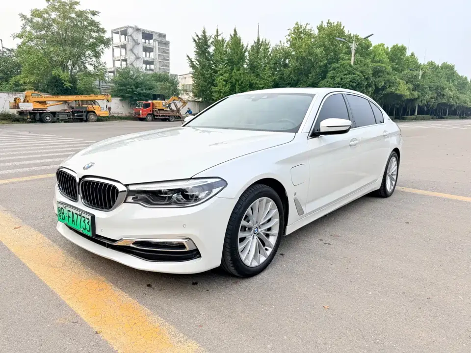 BMW 5 Series New Energy 530Le Luxury Package 2019