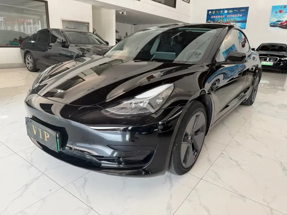 Tesla Model 3 Model Rear-Wheel Drive Version 2022