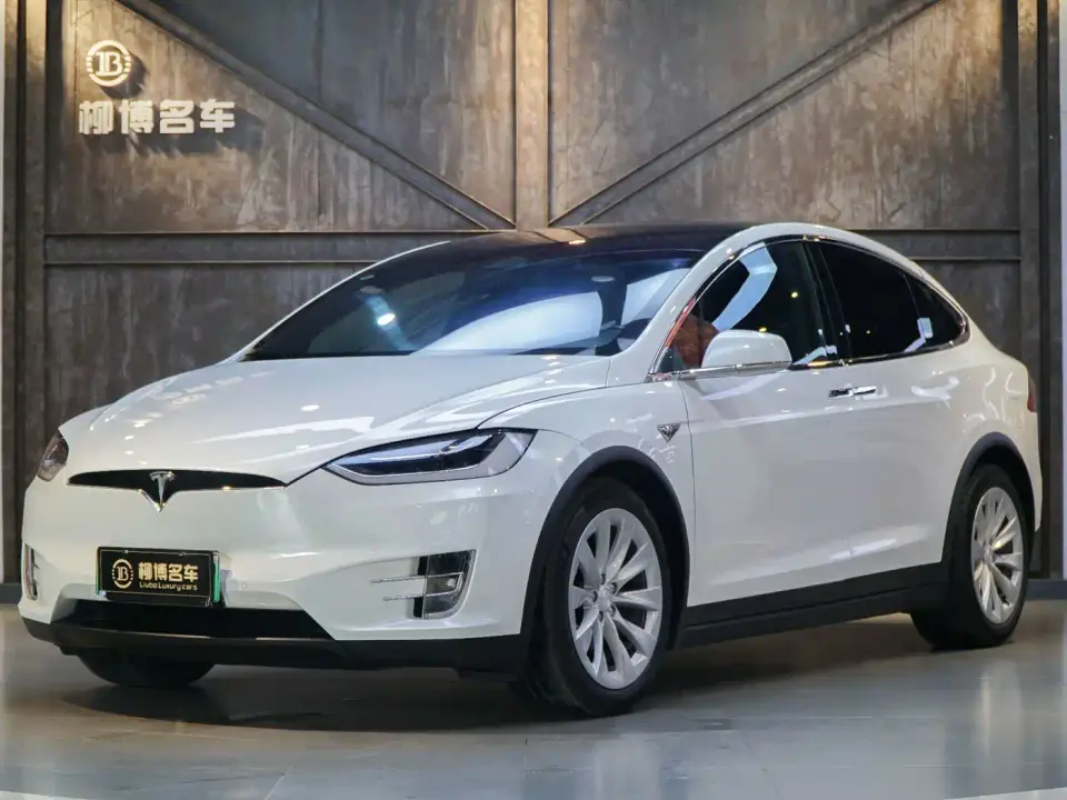 Tesla Model X Model X 75D 2019