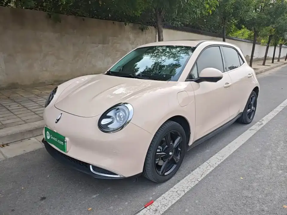 ORA Good Cat 401km Luxury 2024