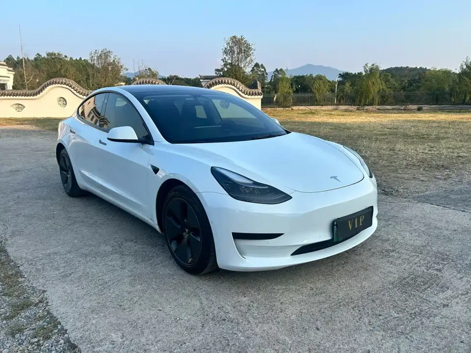 Tesla Model 3 Model Rear-Wheel Drive Version 2022