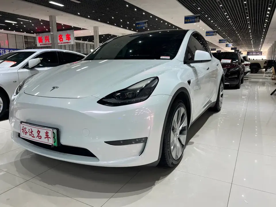 Tesla Model Y Long Range All-Wheel Drive 3D7 2021