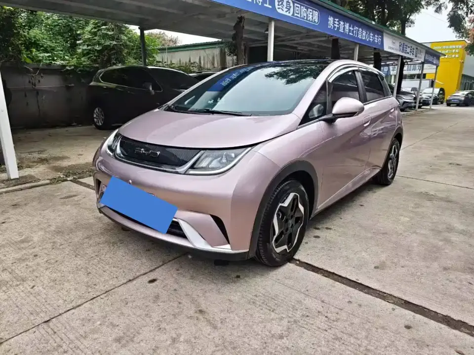BYD Dolphin Model 405km Fashion Edition 2022