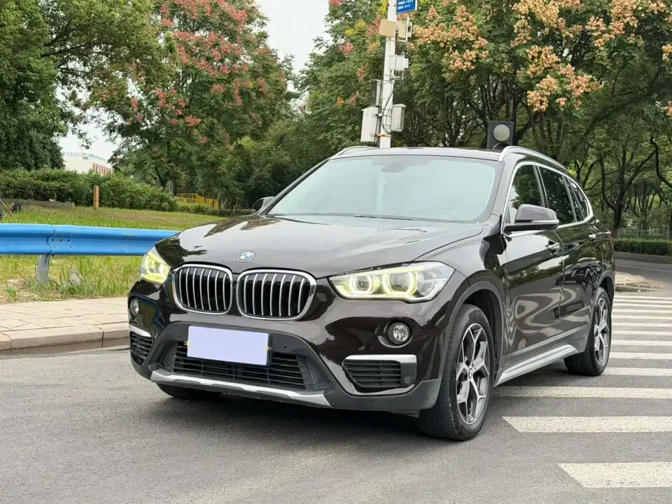 BMW X1 xDrive20Li Luxury Model 2019