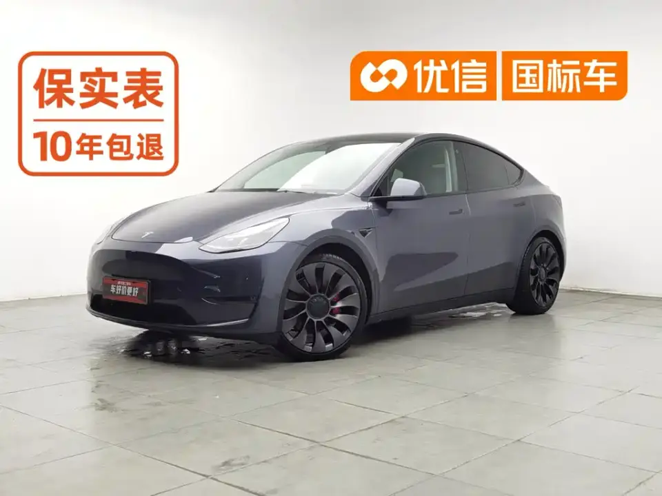 Tesla Model Y Performance High-Performance AWD 2022