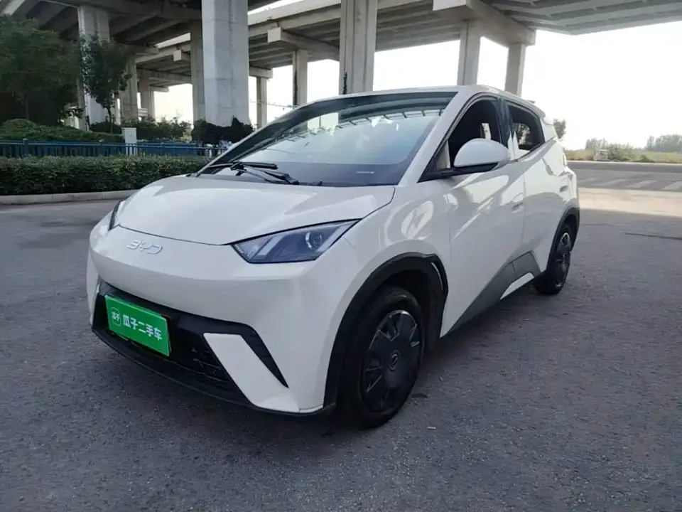 BYD Seagull 305km Vitality 2024