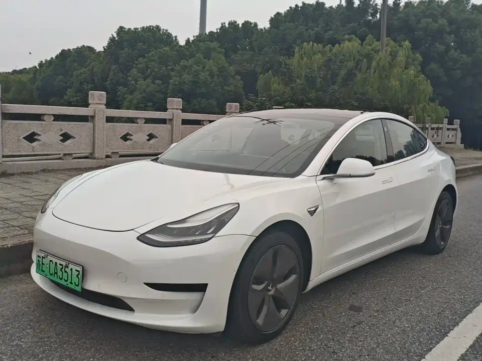 Tesla Model 3 (Import) Standard Range RWD Upgraded Edition 2020