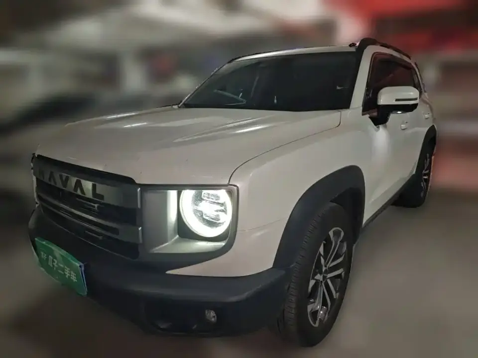 Haval Big Dog 1.5T DCT FWD Border Collie Edition 2023
