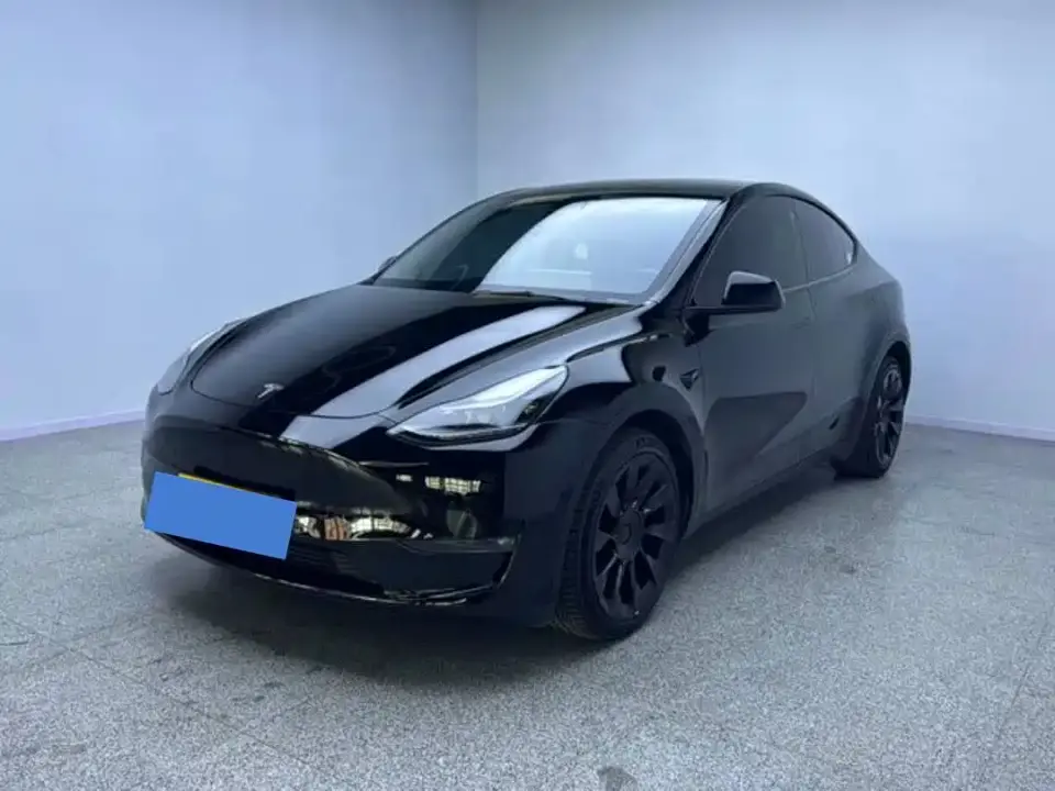 Tesla Model Y Long Range All-Wheel Drive 3D7 2021