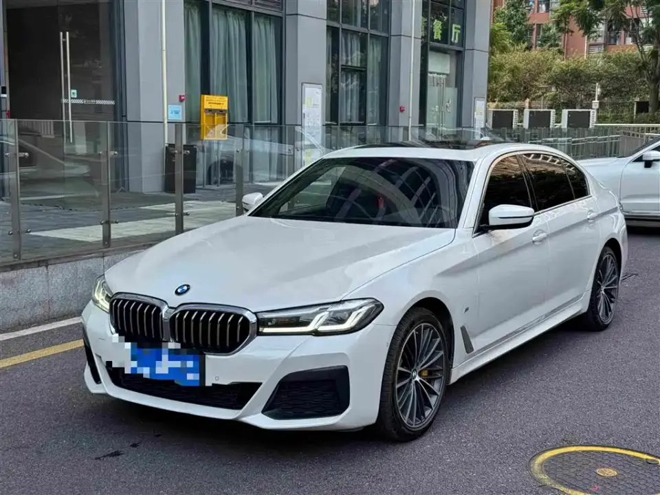 BMW 5 Series 530Li Leading M Sport Package 2020