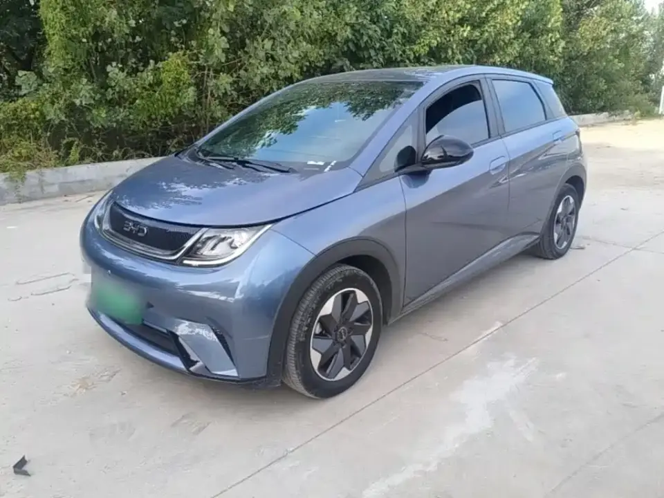 BYD Dolphin 405km Freedom Edition 2024