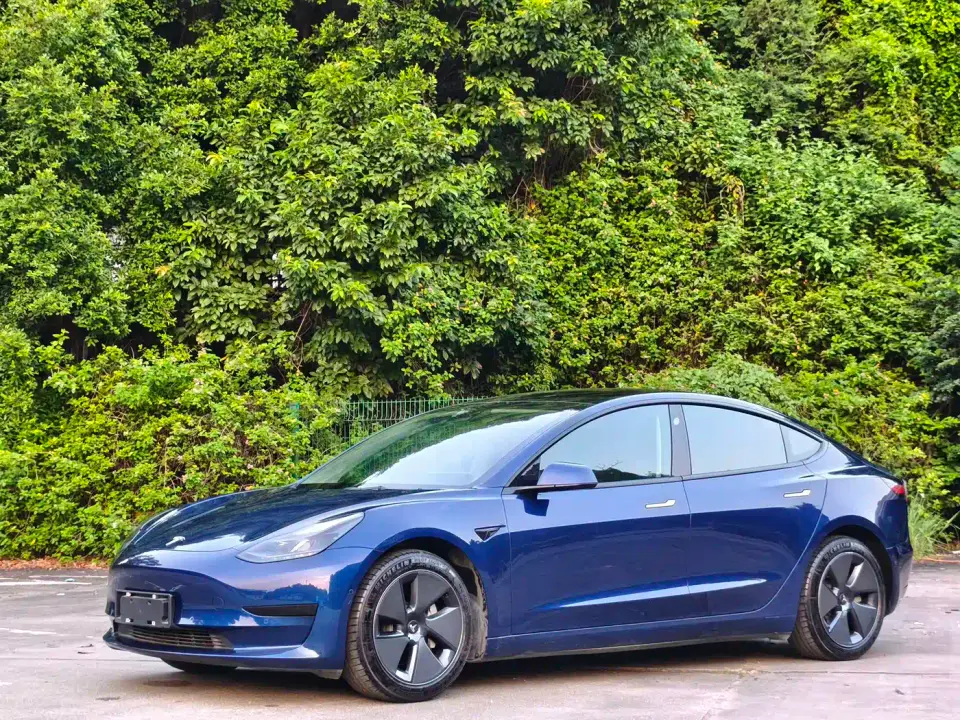 Tesla Model 3 Facelift Standard Range RWD Upgrade 3D1 2021
