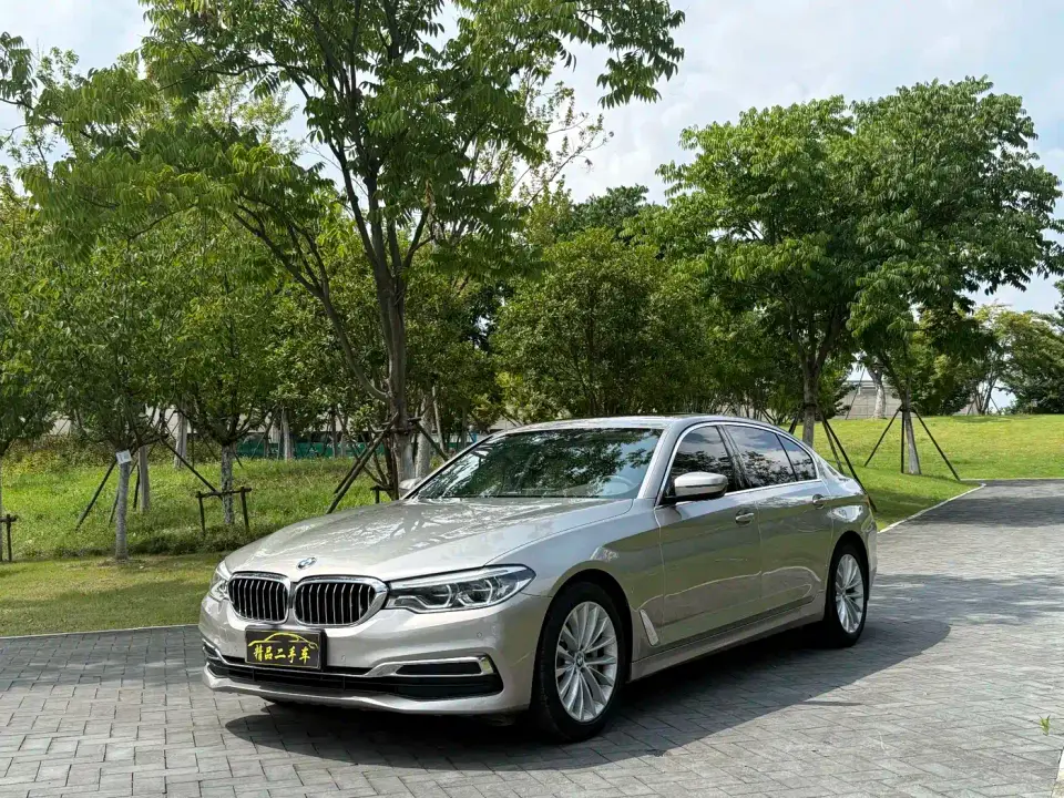 BMW 5 Series 530Li Leading Luxury Package 2020
