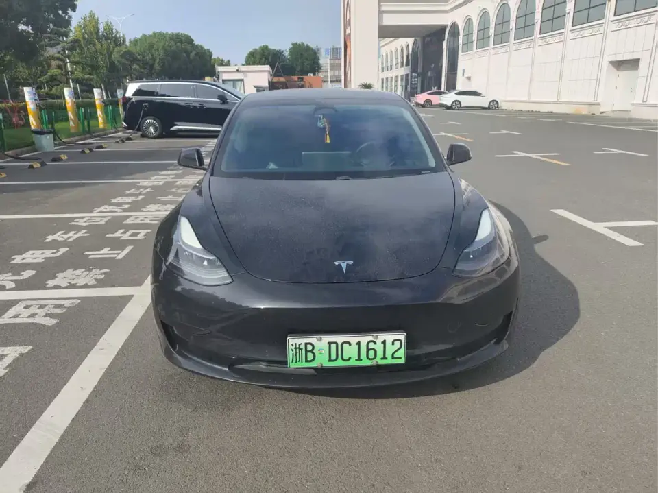 Tesla Model 3 Standard Range Rear-Wheel Drive Upgrade 3D6 2021