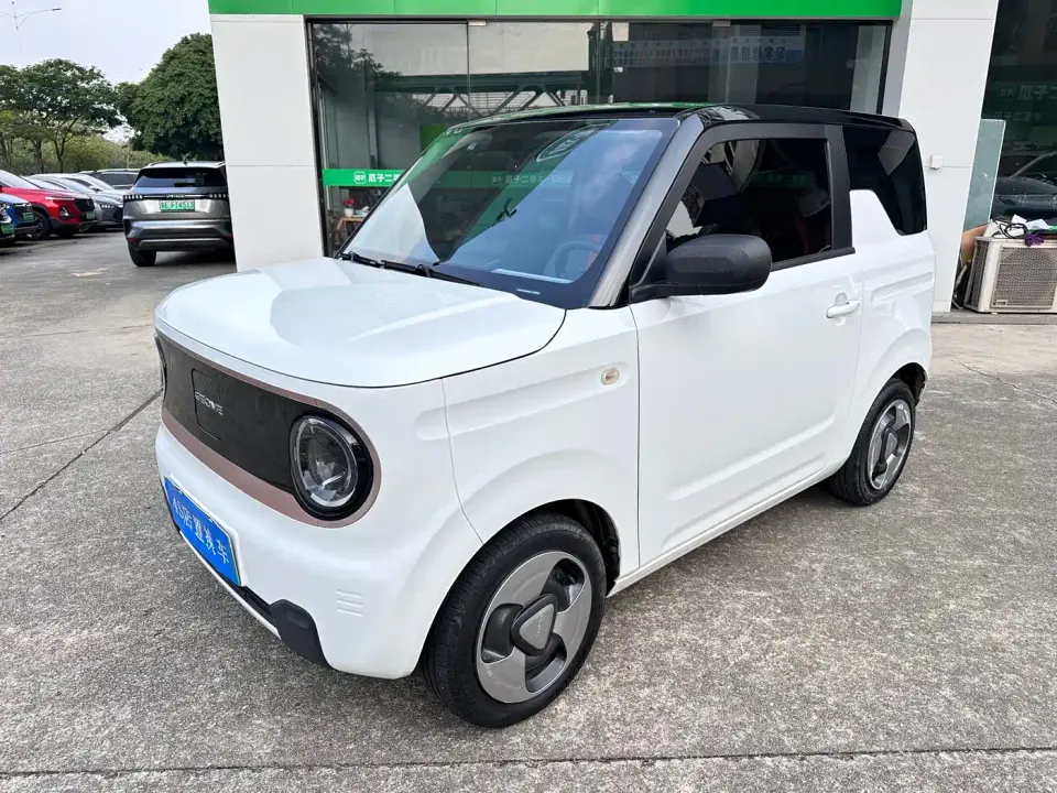 Geely Galaxy Panda Panda Mini 200km Lively Bear 2023