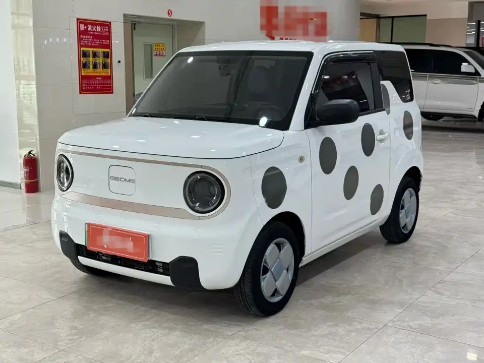 Geely Galaxy Panda Panda Mini 200km Endurance Bear 2023