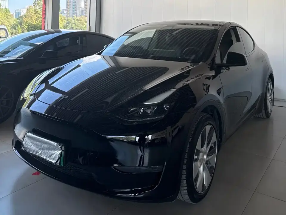 Tesla Model Y Standard Range Rear-Wheel Drive 2022