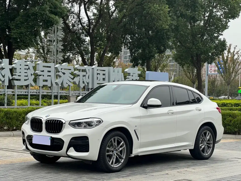 BMW X4 xDrive25i M Sport Package 2020