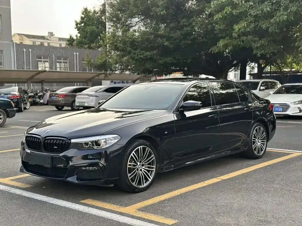 BMW 5 Series 530Li Leading M Sport Package 2019