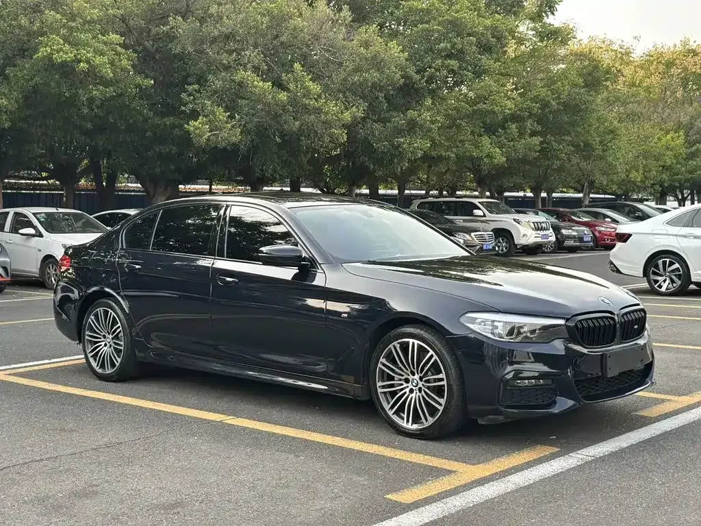 BMW 5 Series 530Li Leading M Sport Package 2019 — фото 3