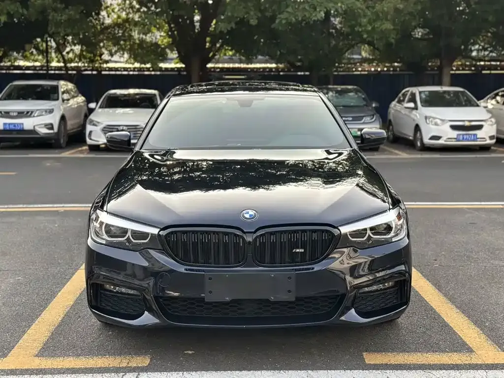 BMW 5 Series 530Li Leading M Sport Package 2019 — фото 2