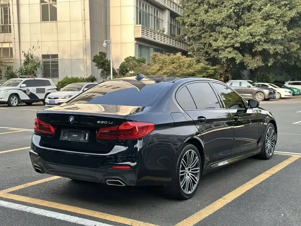 BMW 5 Series 530Li Leading M Sport Package 2019 — фото 6