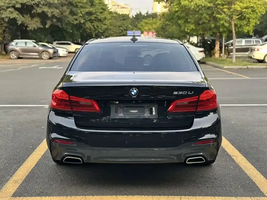 BMW 5 Series 530Li Leading M Sport Package 2019 — фото 5