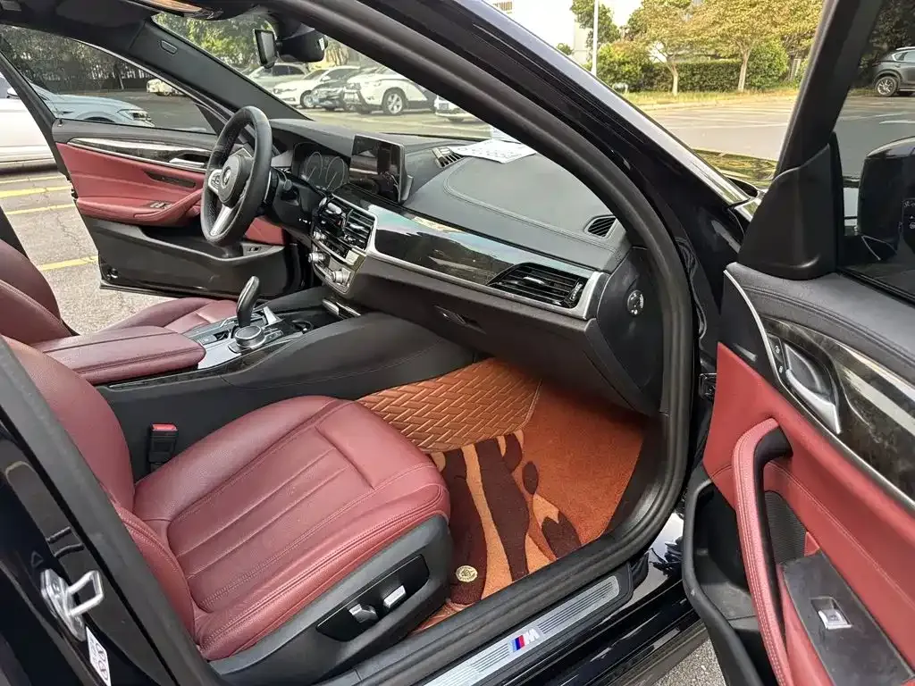 BMW 5 Series 530Li Leading M Sport Package 2019 — фото 13