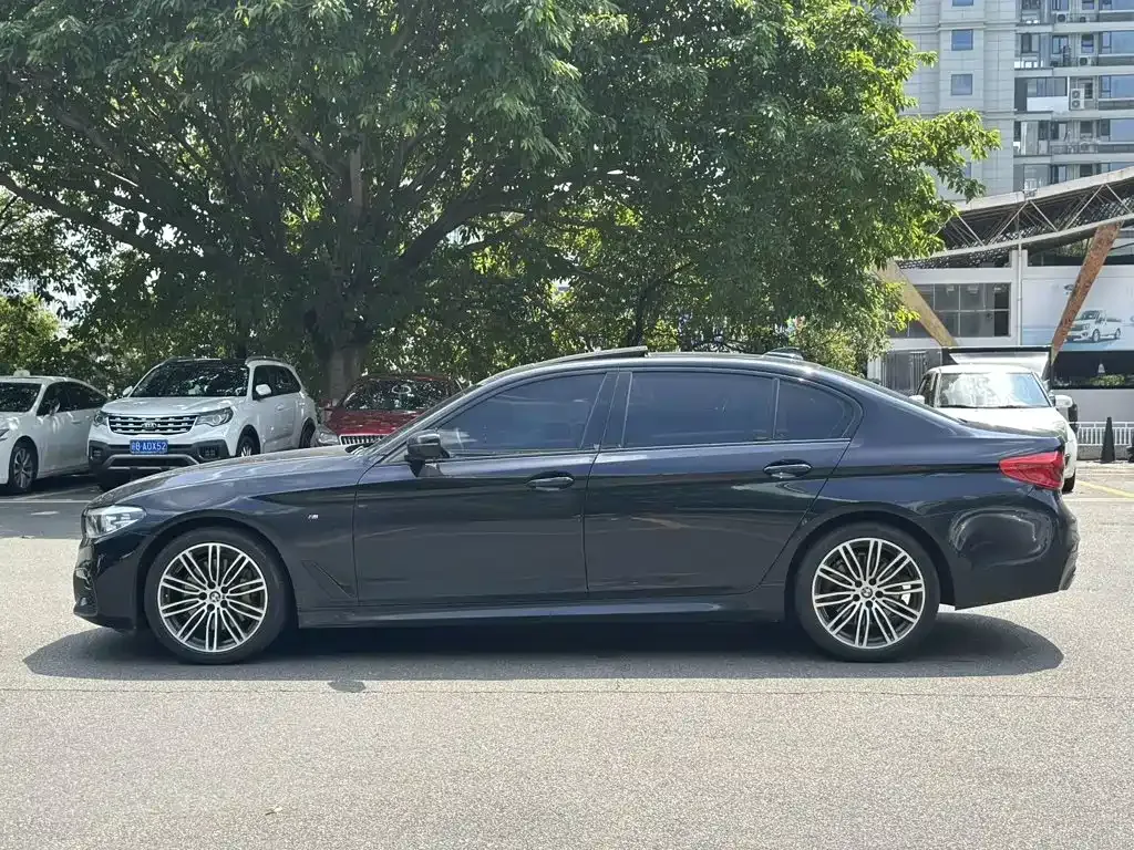 BMW 5 Series 530Li Leading M Sport Package 2019 — фото 8