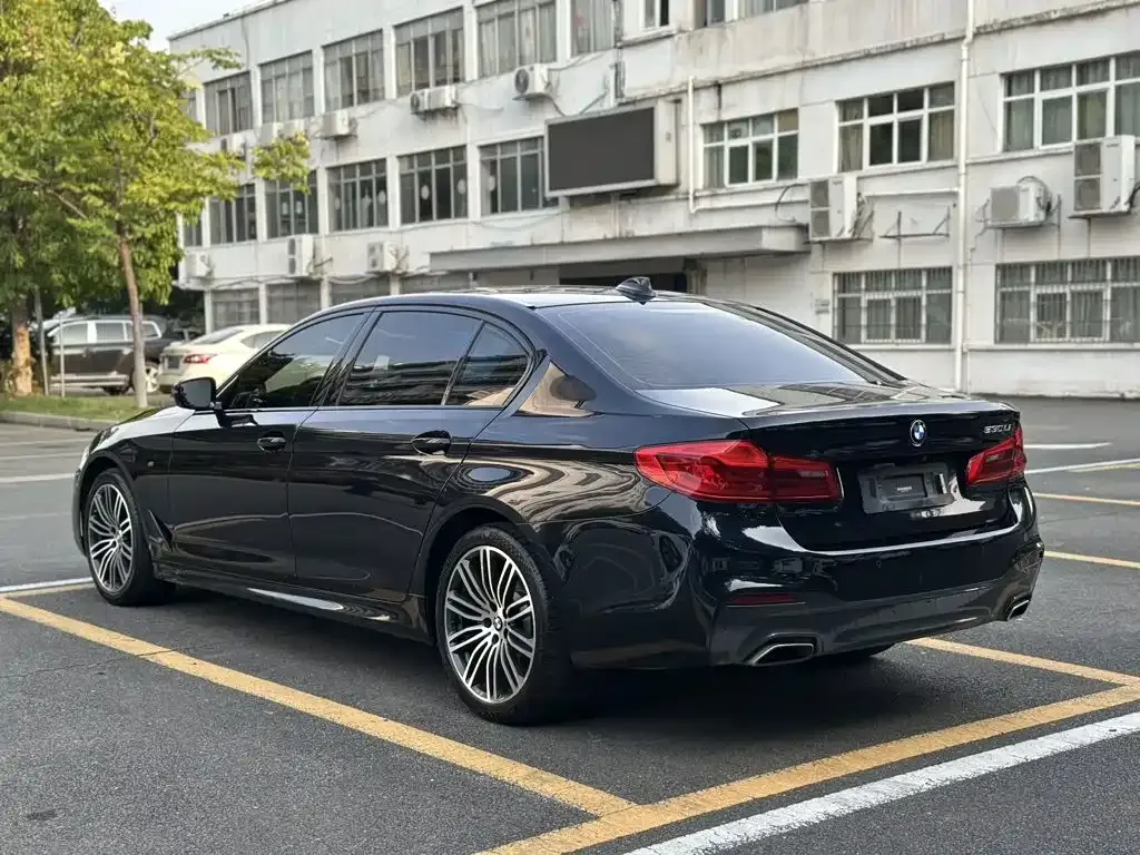 BMW 5 Series 530Li Leading M Sport Package 2019 — фото 4