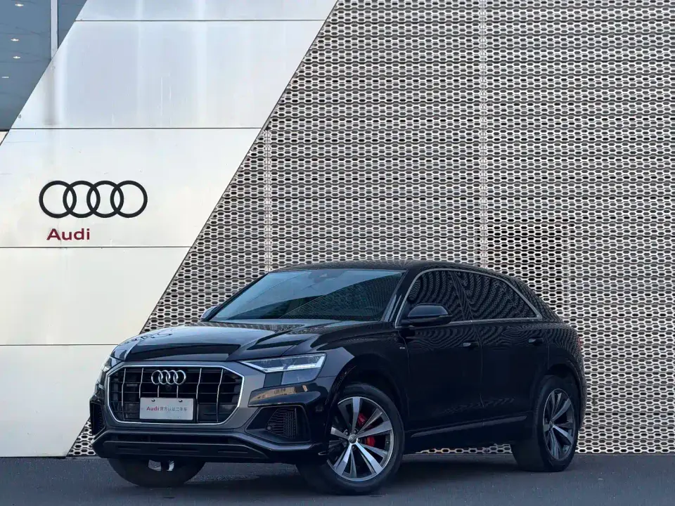 Audi Q8 55 TFSI Premium Dynamic 2019