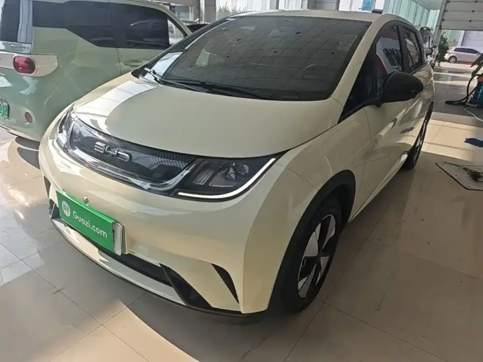 BYD Dolphin 420km Freedom Edition 2024
