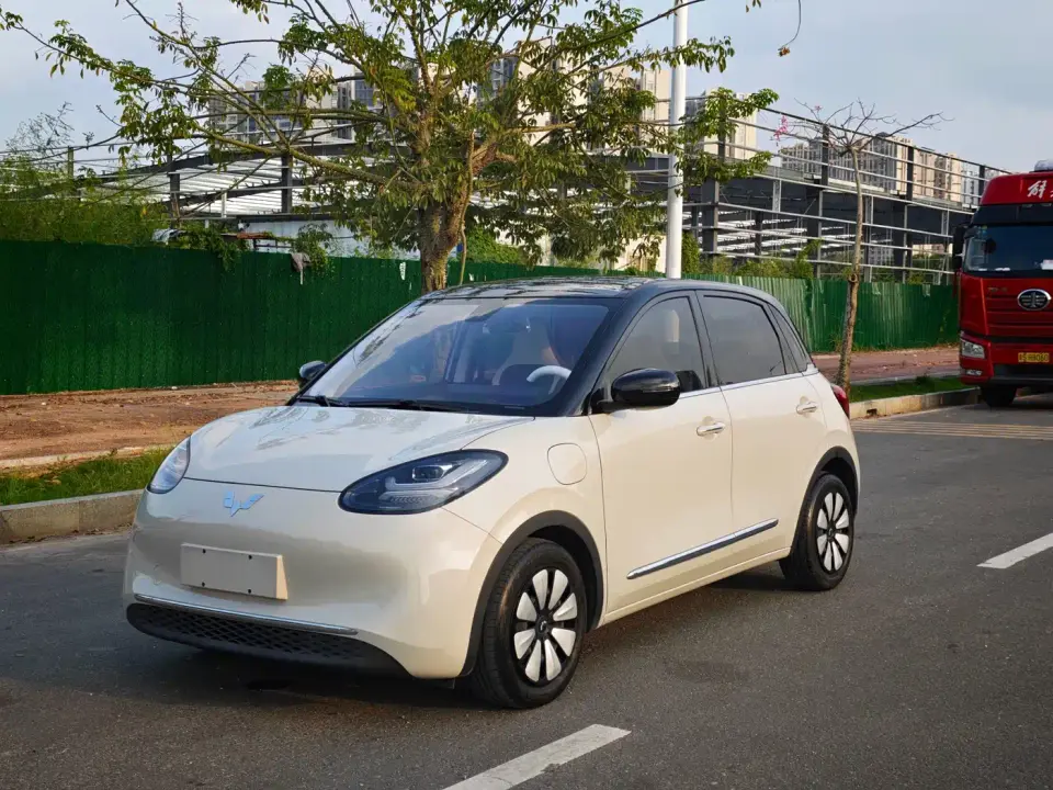 Wuling Motors Wuling Bingo 333km Joyful Version 2023