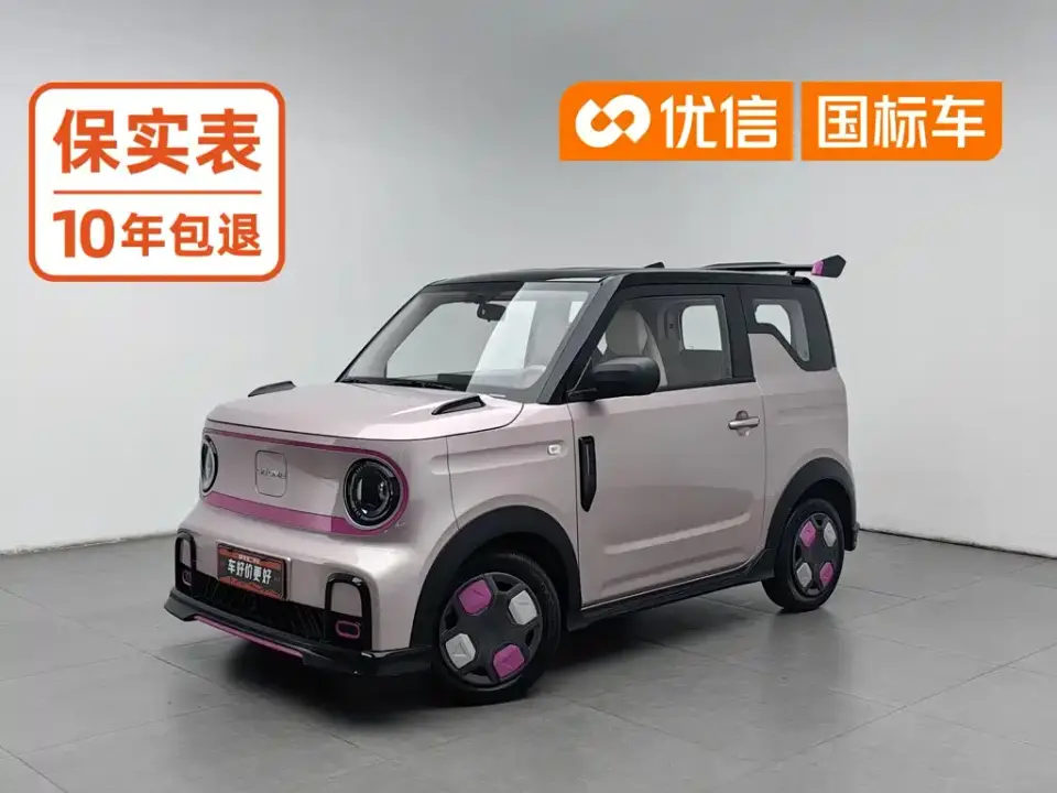 Geely Galaxy Panda Model Year 210km Panda Kart 2025