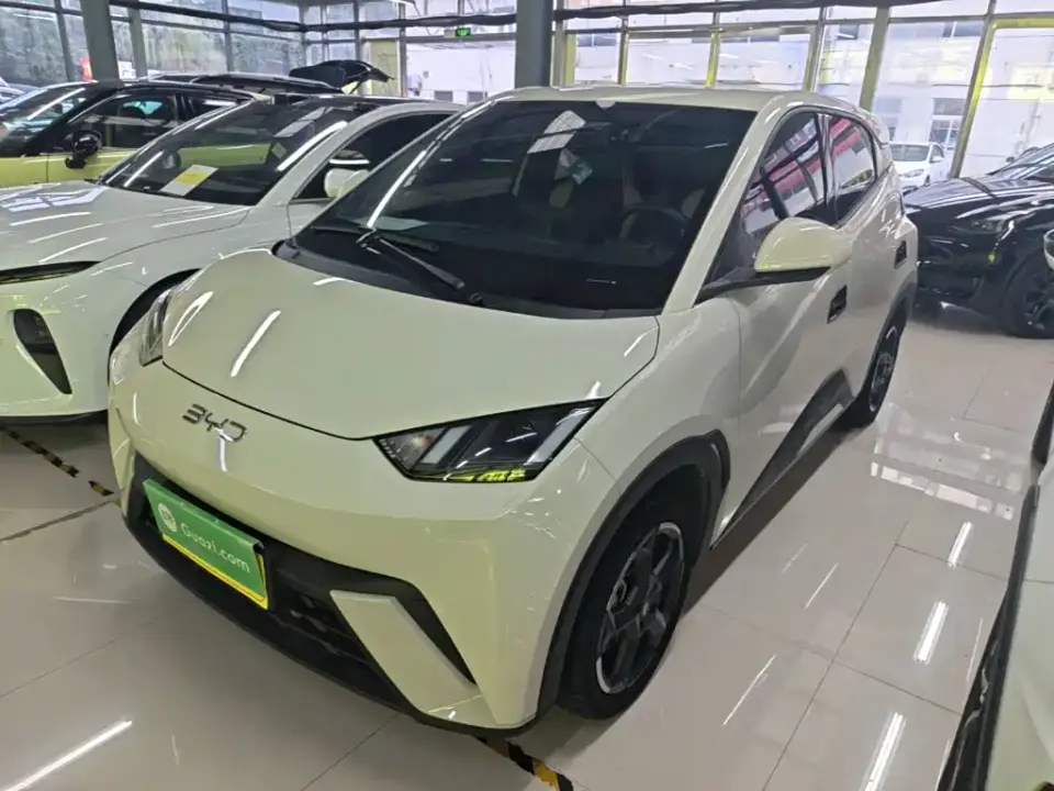 BYD Seagull Glory Edition 305km Freedom Edition 2024