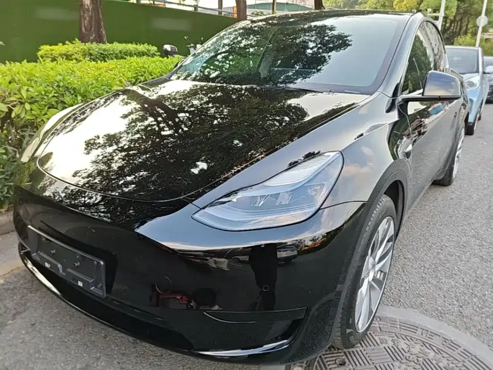 Tesla Model Y Rear-Wheel Drive Version 2022