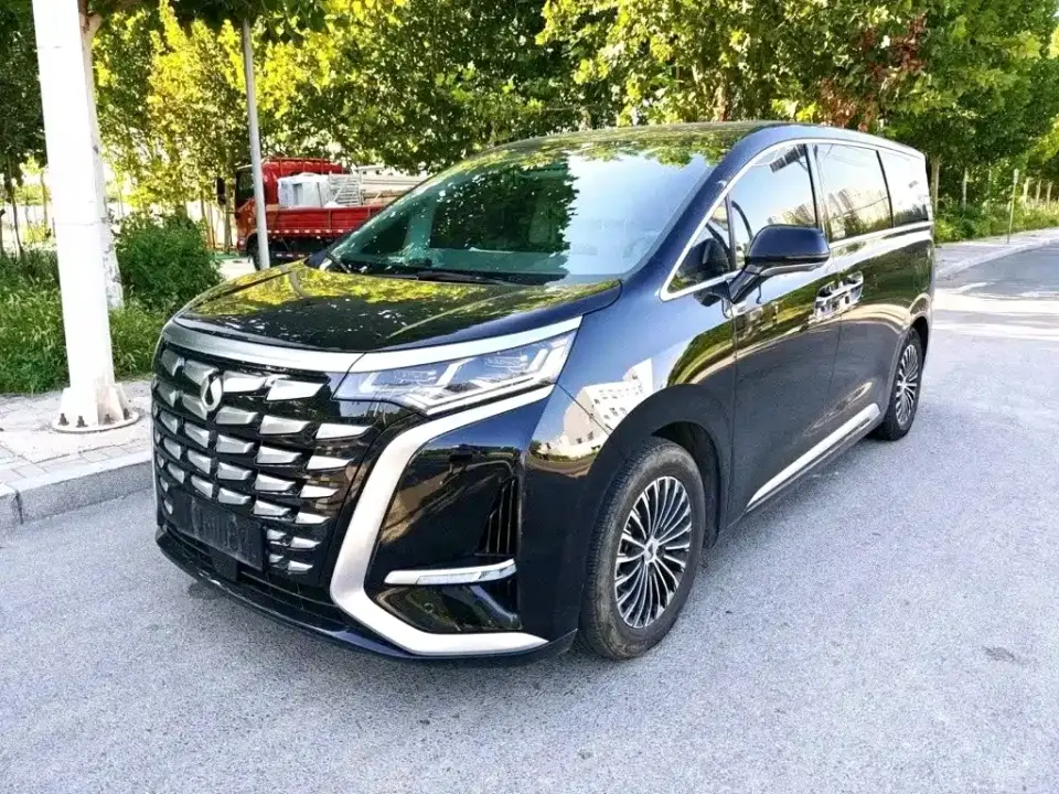 Denza D9 DM-i 1040 Premium 2023
