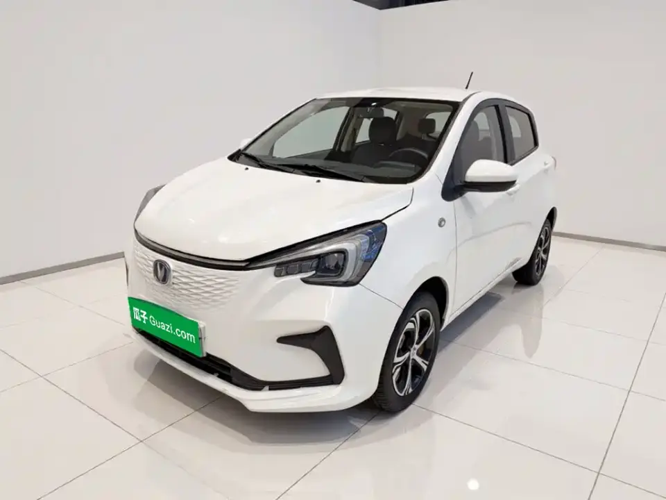 Changan Benben E-Star Heartjoy Edition NCM 2021