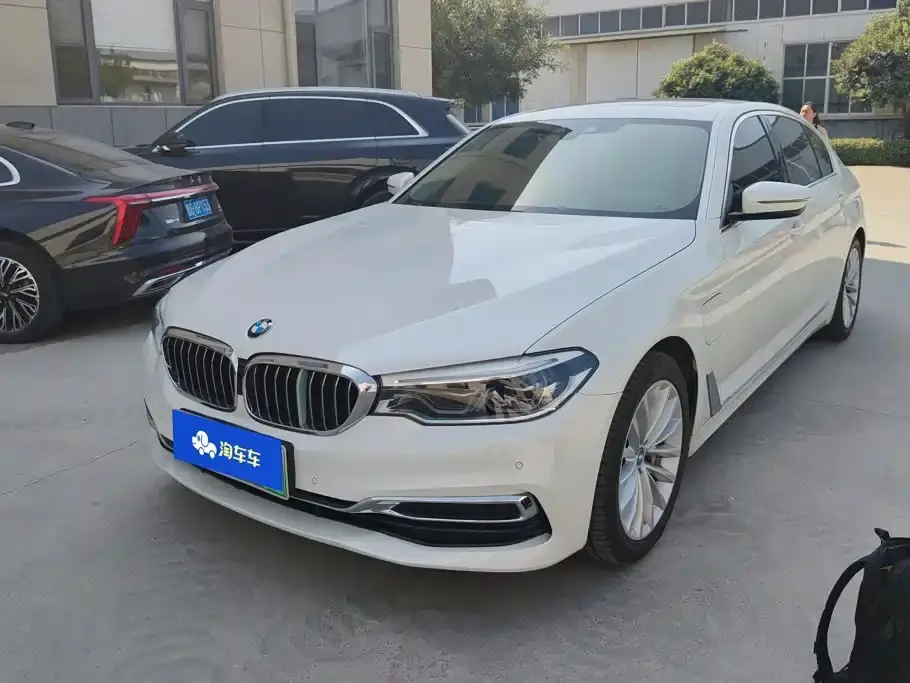 BMW 5 Series New Energy Facelift 530Le Luxury Package 2019