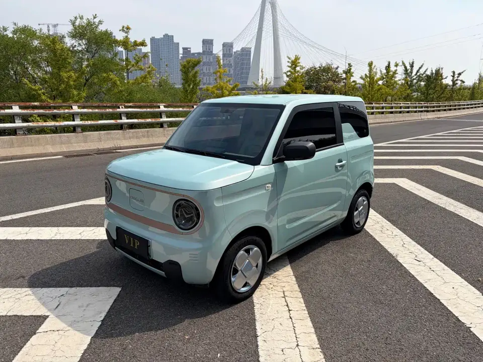 Geely Galaxy Panda Panda mini 200km Endurance Bear 2024