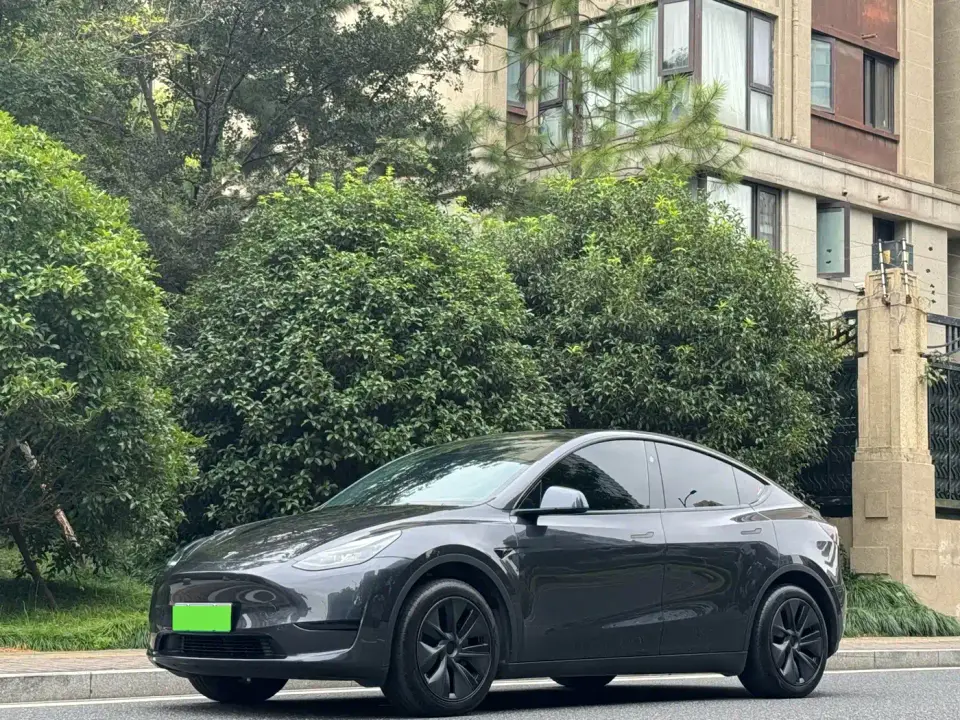 Tesla Model Y Rear-Wheel Drive Version 2024