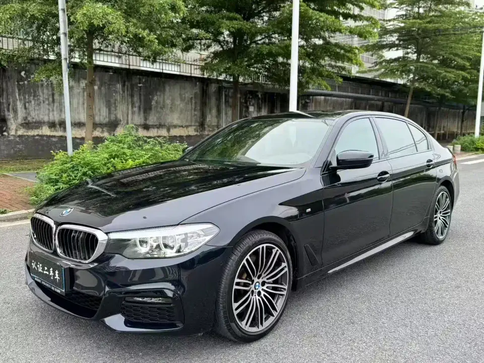 BMW 5 Series 530Li Leading M Sport Package 2019