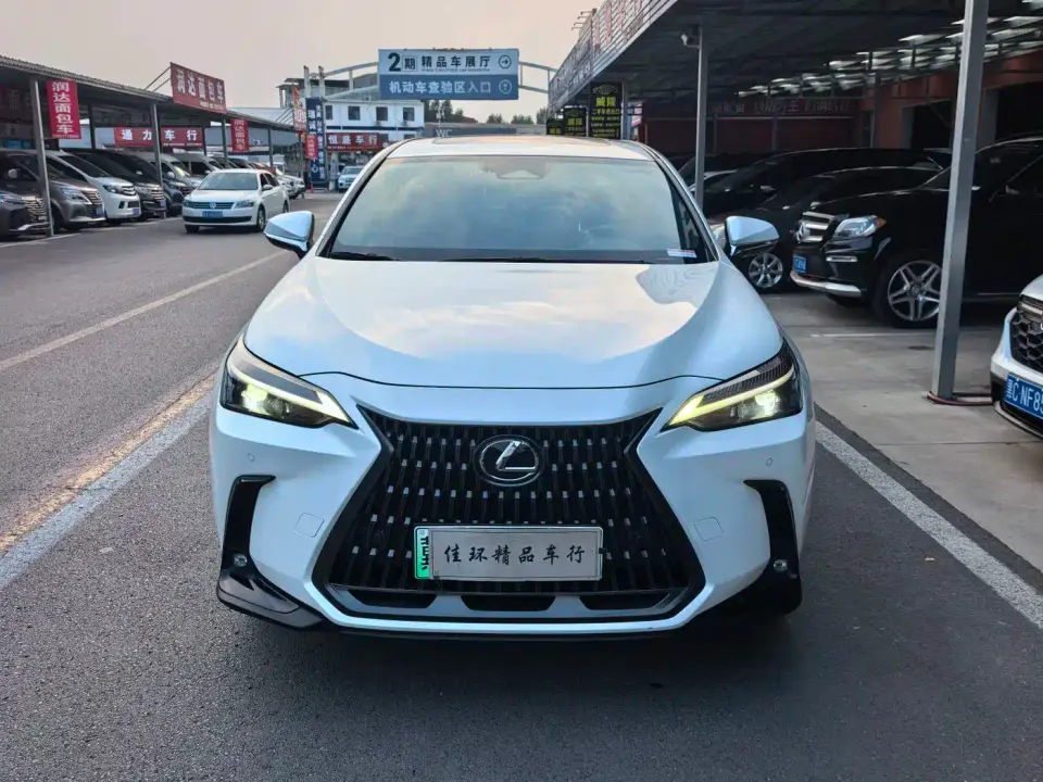 Lexus NX New Energy 400h+ Joy Edition 2023